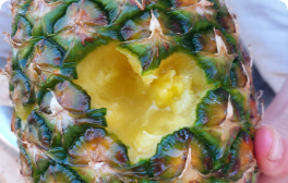 trials-of-conviction-blog